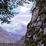 Le Foret - Cergnat Domek alpejski