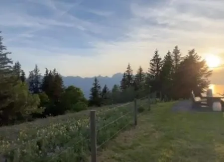 Le Foret - Cergnat Le Sépey