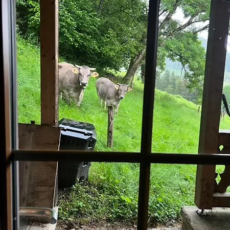 Le Foret - Cergnat Le Sépey