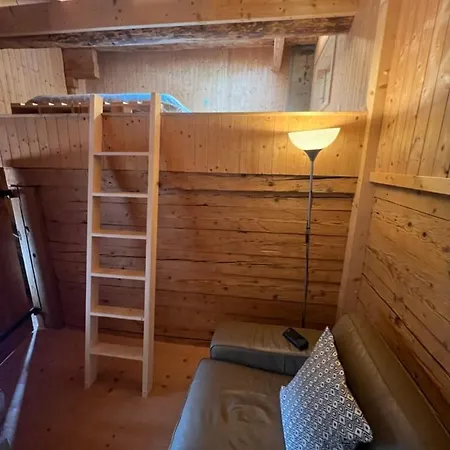 Le Foret - Cergnat Le Sépey