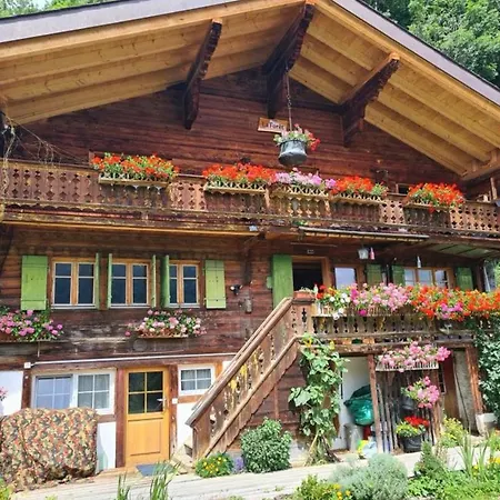 Le Foret - Cergnat