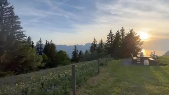 Le Foret - Cergnat Le Sépey