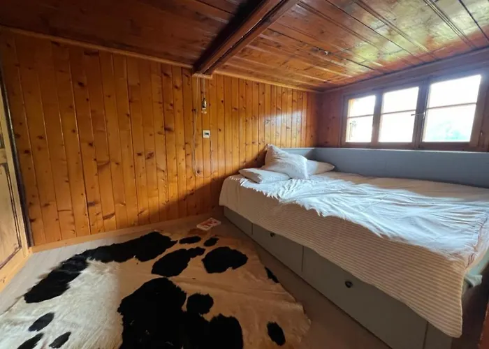 Chalet Le Foret - Cergnat *