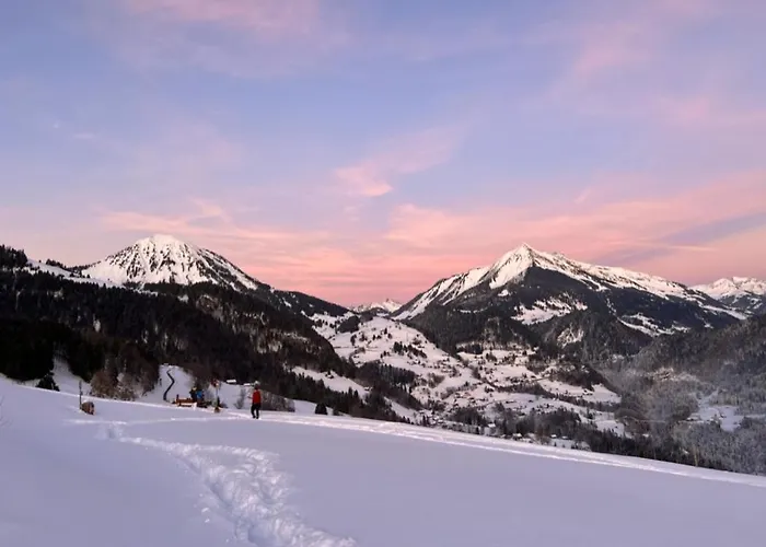 Chalet Le Foret - Cergnat *