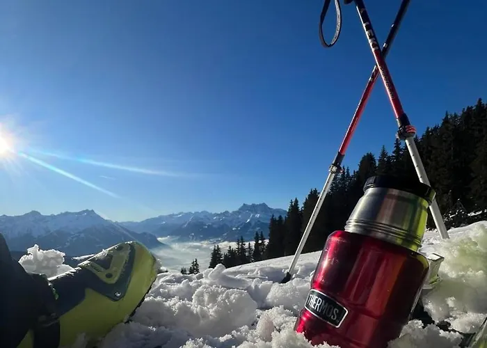 Alpstuga Le Foret - Cergnat *