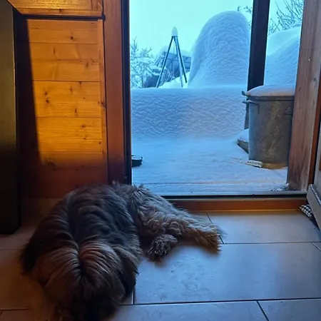 شاليه Le Foret - Cergnat Le Sépey