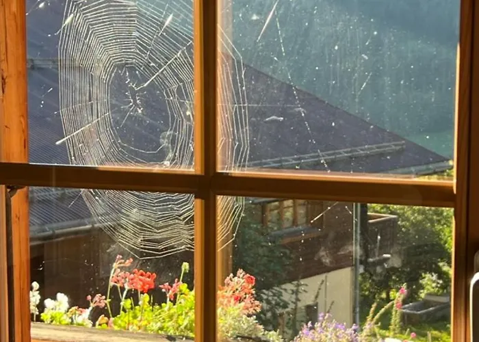 Domek alpejski Le Foret - Cergnat *