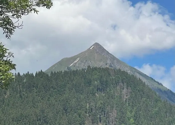 Le Foret - Cergnat Domek alpejski *