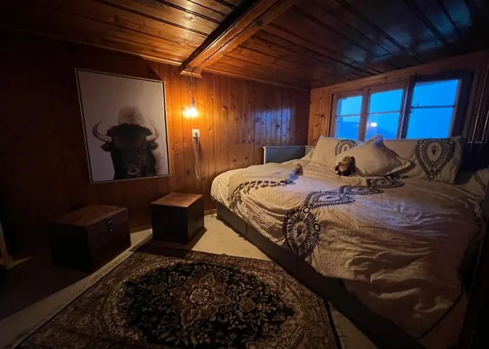 Dağ evi Le Foret - Cergnat *