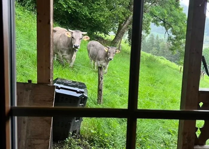 Le Foret - Cergnat Le Sépey