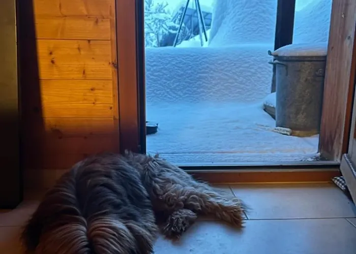 Dağ evi Le Foret - Cergnat Le Sépey