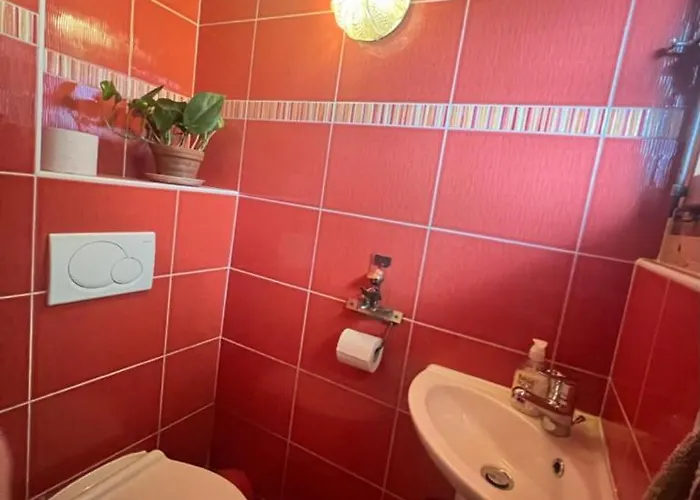 Le Foret - Cergnat *