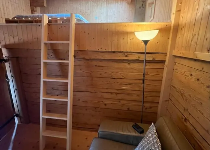 Le Foret - Cergnat Le Sépey